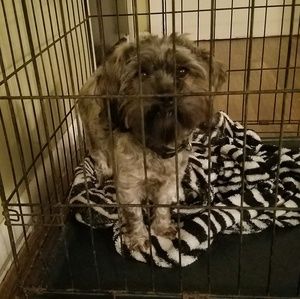 Meet your Posher, Crystal